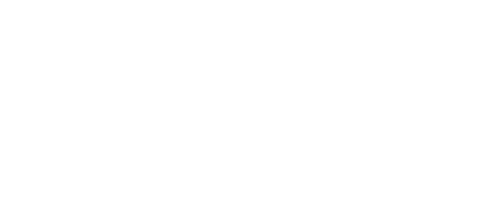 WSS Logo